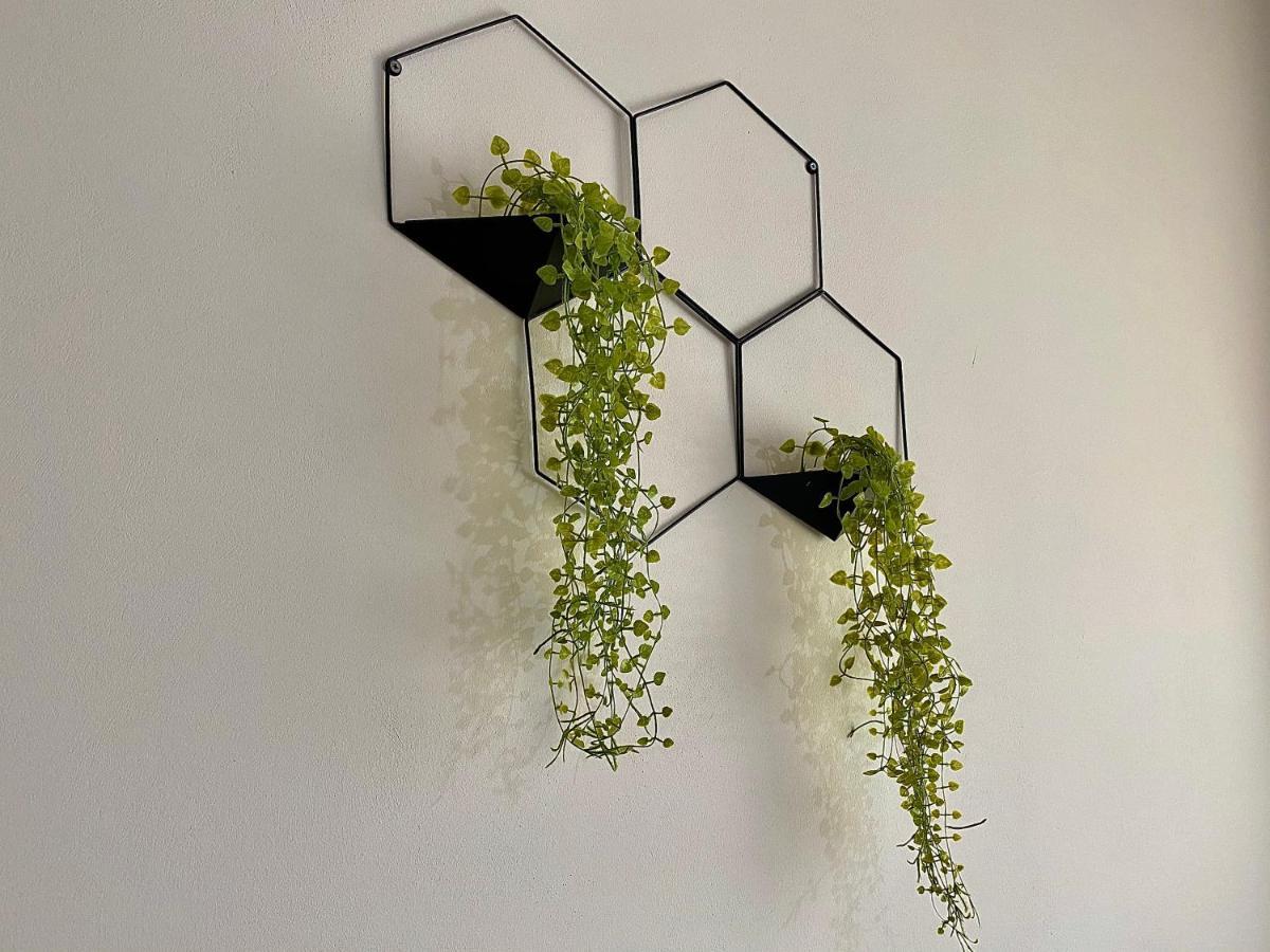 Apartment Delight *