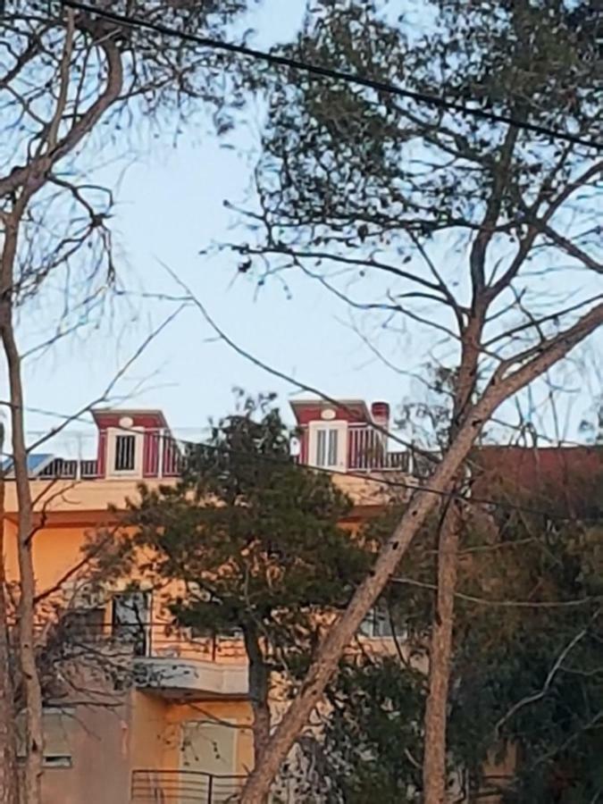 Delight Golem (Tirana)